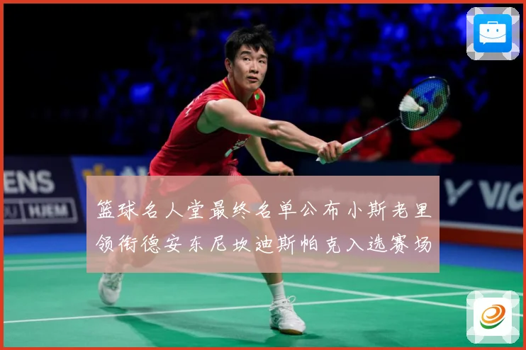 篮球名人堂最终名单公布小斯老里领衔德安东尼坎迪斯帕克入选赛场复盘-深度解析